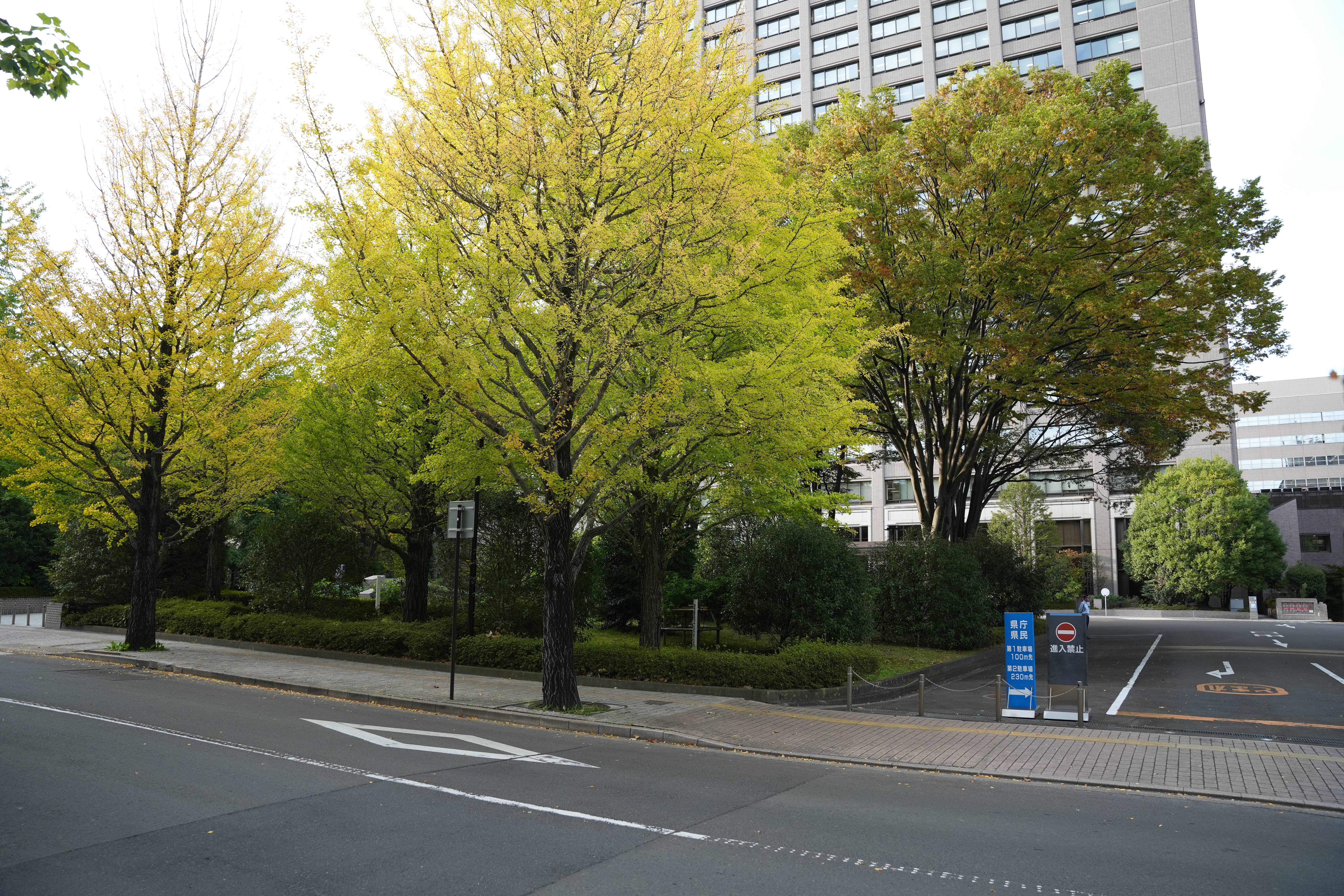 圖1、日本仙台市合同廳舍外觀（攝影：蕭丞億）